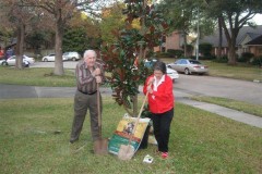M-Dad-and-tree